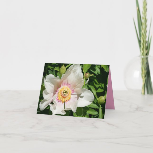 Peony Love Thank You Card (Front)