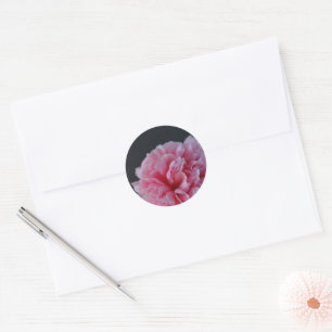 Peony on dark background classic round sticker