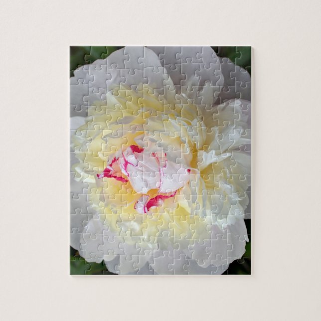 Peony Passion Jigsaw Puzzle (Vertical)