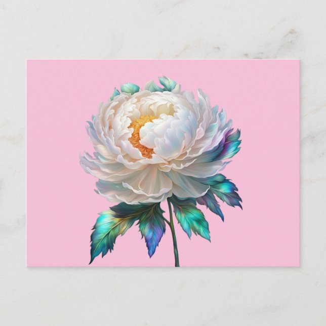 Peony Peace Postcard (Front)