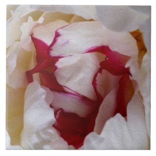 Peony petals tile
