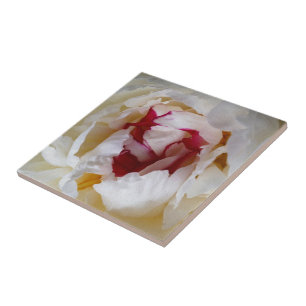 Peony petals tile