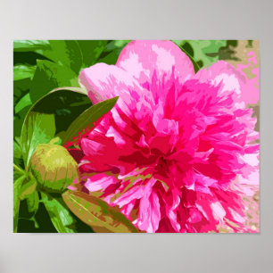 Peony Pink Flower Poster