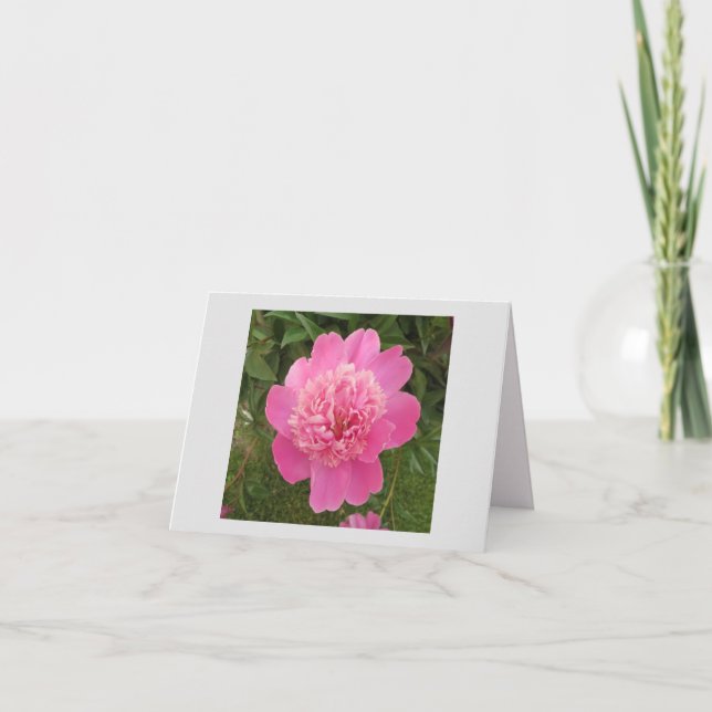 Peony Pink Note Card (Front)