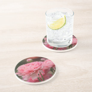 Peony Pink Ranunculus Closeup Coaster