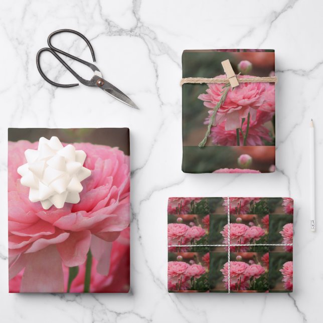 Peony Pink Ranunculus Closeup Wrapping Paper Sheet (Front)