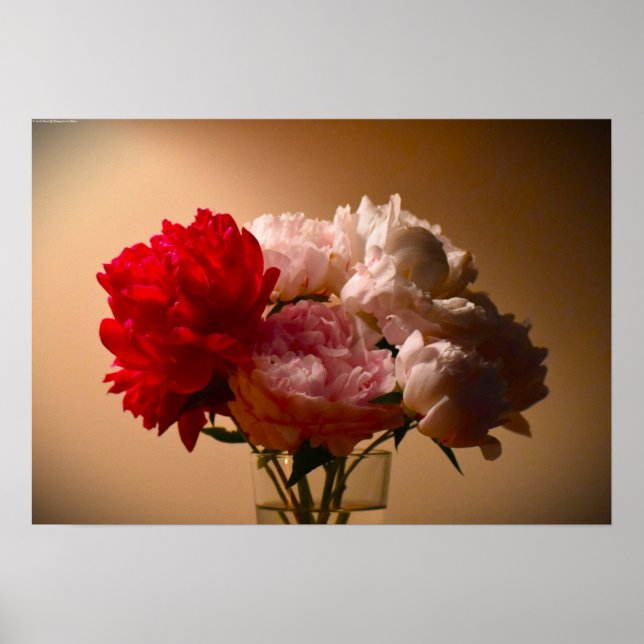 Peony, Poster (Front)