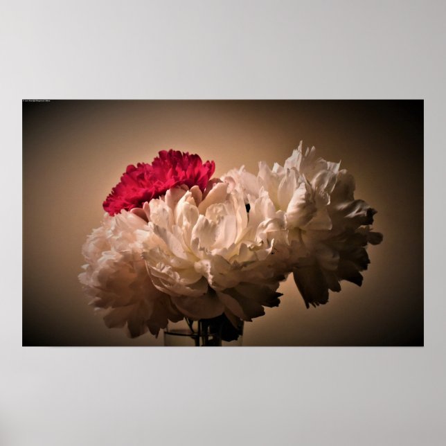 Peony, Poster (Front)