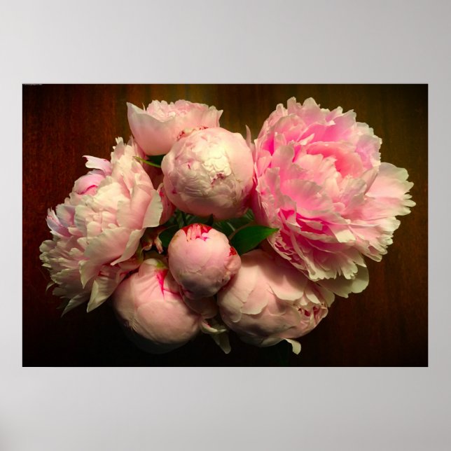 Peony, Poster (Front)