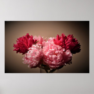 Peony, Poster