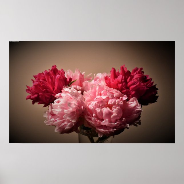 Peony, Poster (Front)