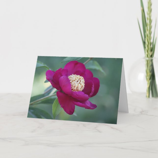 Peony "Sword Dance" Card (Front)