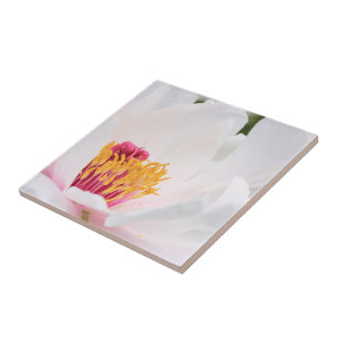 Peony Tile