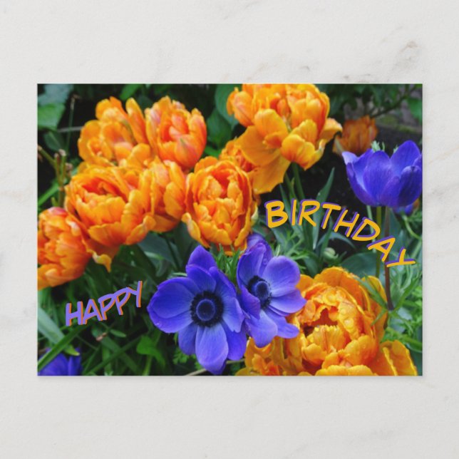 Peony Tulips & Anemones Happy Birthday Postcard (Front)