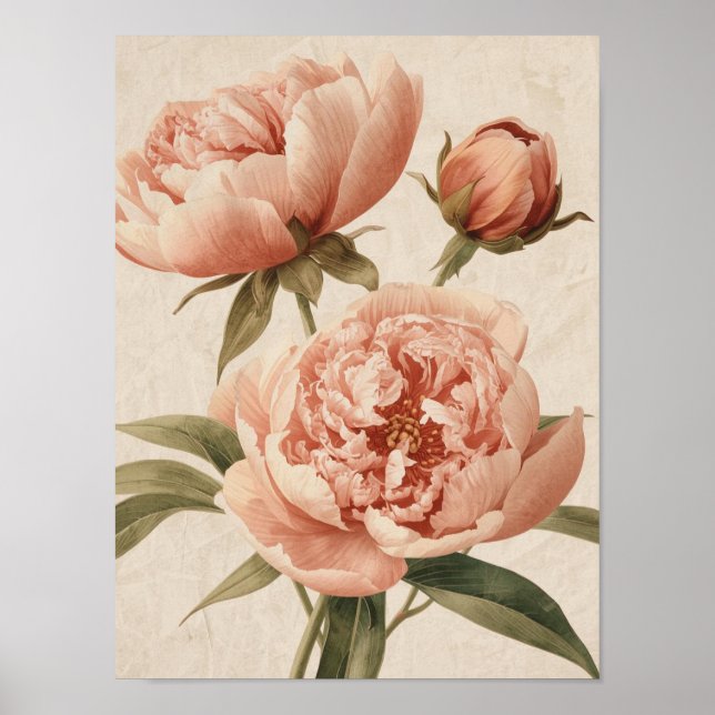 Peony Watercolor Elegance Poster (Front)