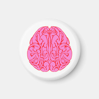 People in my Brain Magnet