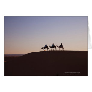 People riding camels, Morocco