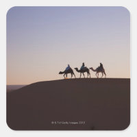 People riding camels, Morocco