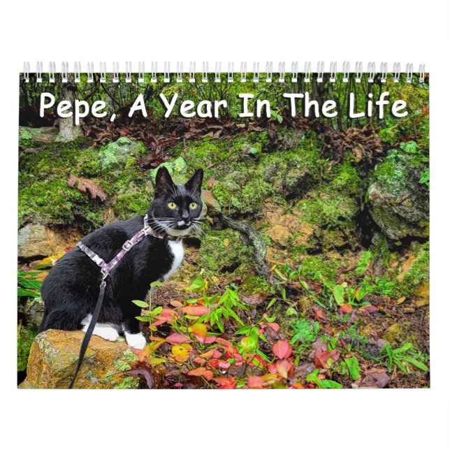 Pepe, A Year In The Life Calendar (Cover)