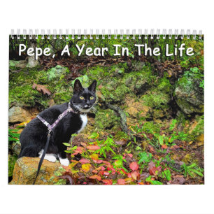 Pepe, A Year In The Life Calendar