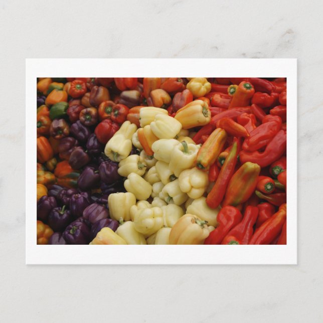 Pepper Family Postcard (Front)