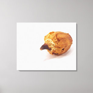 Pepper Pod Canvas Print