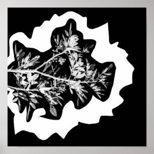 Pepper Tree Flowers Leaves Nature Poster