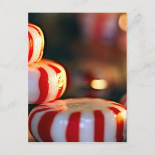 Peppermint Candy Postcard