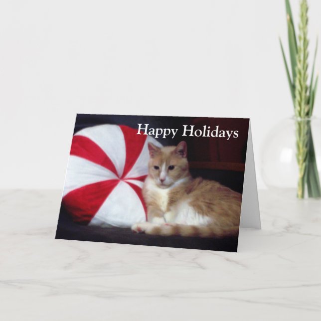 Peppermint Cat Holiday Greeting Card (Front)