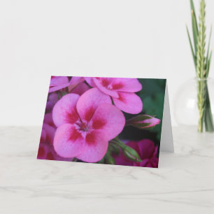 Peppermint Pink Geranium Card