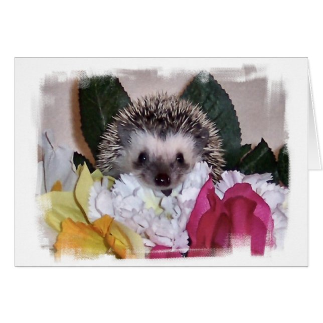 Pepperpot the Hedgehog (Front Horizontal)