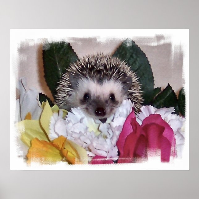 Pepperpot the Hedgehog Poster (Front)