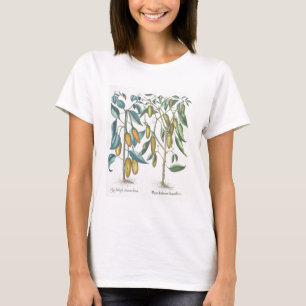 Peppers: 1.Piper Indicum filiquis flavis; 2.Piper T-Shirt