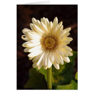 Perceived Imperfections