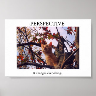 perception poster