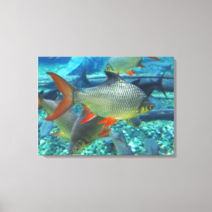 Perch Canvas Print