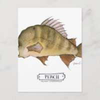 Perch fish, tony fernandes