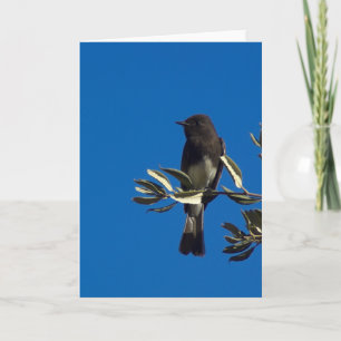 Perched Fly Catcher Card