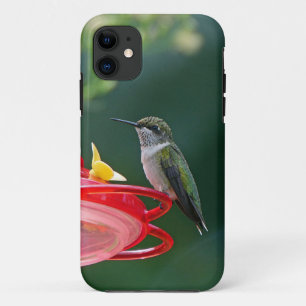Perched Hummingbird Case-Mate iPhone Case