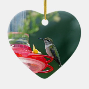 Perched Hummingbird Ceramic Tree Decoration