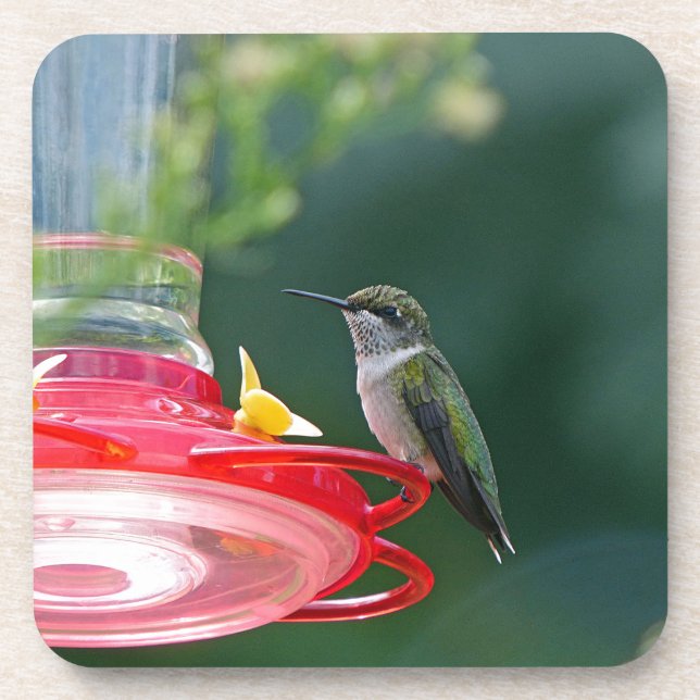 Perched Hummingbird Coaster (Front)