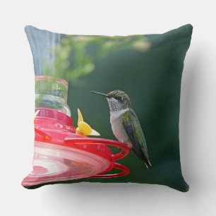 Perched Hummingbird Cushion