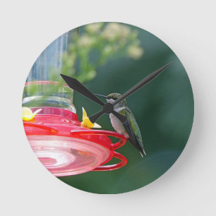 Perched Hummingbird Round Clock