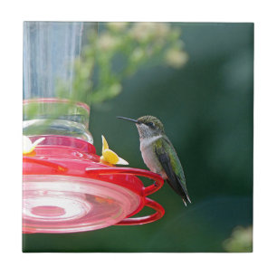 Perched Hummingbird Tile