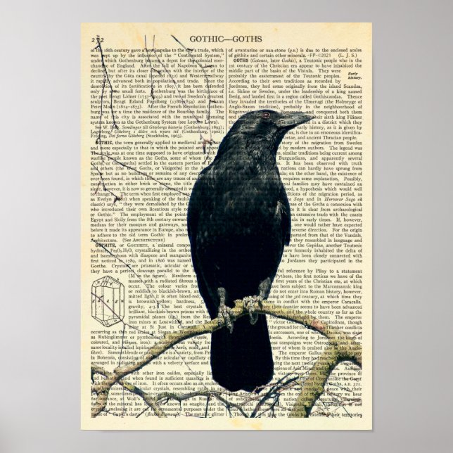 Perched Raven, Crow, Edgar Allan Poe, Gothic Poster (Front)