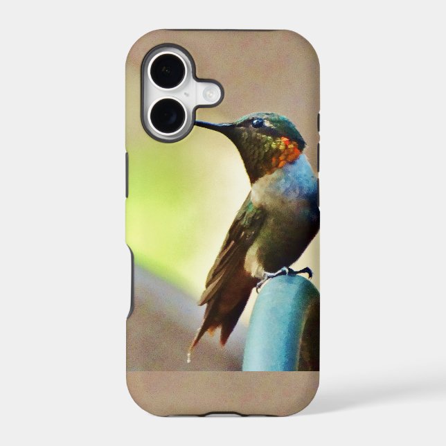Perched Ruby and Green  little Hummingbird (Back)