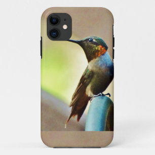 Perched Ruby and Green  little Hummingbird Case-Mate iPhone Case