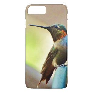Perched Ruby and Green  little Hummingbird Case-Mate iPhone Case