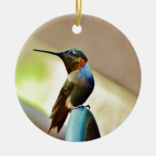 Perched Ruby and Green  little Hummingbird Ceramic Tree Decoration (Front)