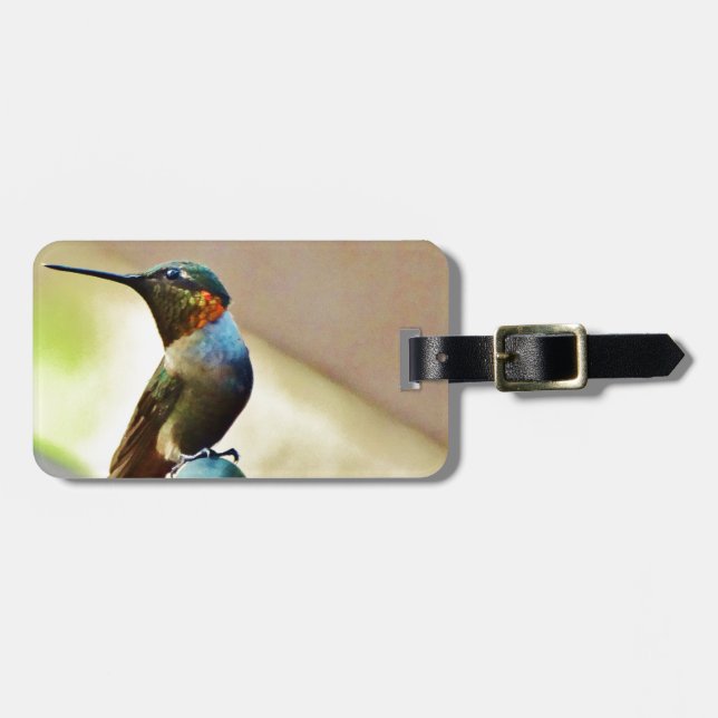 Perched Ruby and Green  little Hummingbird Luggage Tag (Front Horizontal)